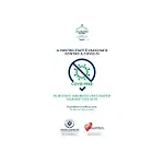 Hotel Nice Отель Сорренто